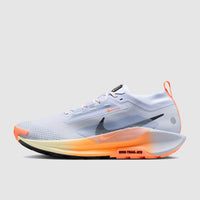 Nike Pegasus Trail 5 GORE-TEX