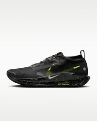 Nike Pegasus Trail 5 GORE-TEX