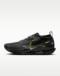 Nike Pegasus Trail 5 GORE-TEX ( STOCK )