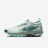 Nike Pegasus Trail 5 GORE-TEX ( STOCK )