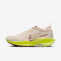 Nike Pegasus Trail 5 GORE-TEX
