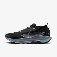 Nike Pegasus Trail 5 GORE-TEX ( Stock )