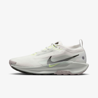 Nike Pegasus Trail 5 GORE-TEX